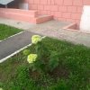 IMG-20210121-WA0004